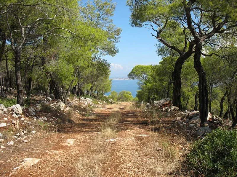 hiking-800x600